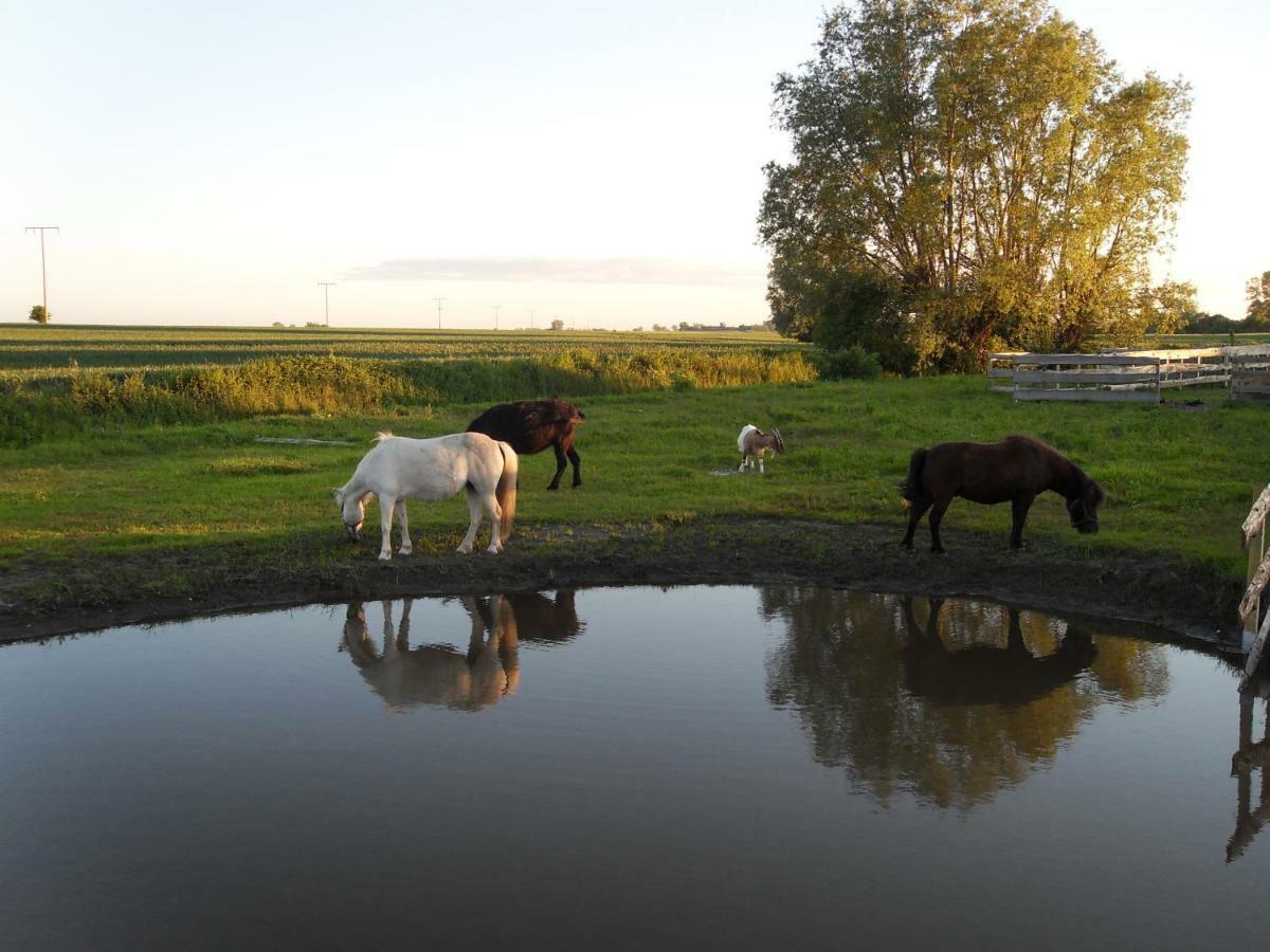 Horse Lake Ranch Neuendorf  Luaran gambar